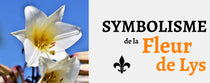Fleur de Lys : Signification Spirituelle