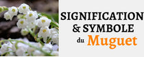 Signification & Symbole du Muguet