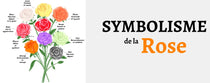 Symbolisme de la Rose - Origine & Signification