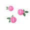 Trois pivoines roses avec des feuilles vertes.