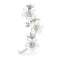 Broche Fleur Argent | Dame Fleur