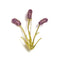 Broche florale violette à trois tiges et feuilles en métal doré.