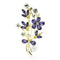 Broche Fleur pas Chère | Dame Fleur