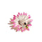 Fleur de marguerite blanche à pointe rose avec une abeille récoltant du pollen.