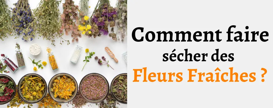 comment faire sécher des fleurs fraîches ?
