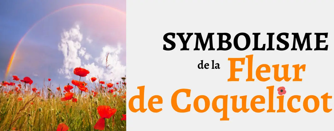 Fleur de Coquelicot : Signification & Origine