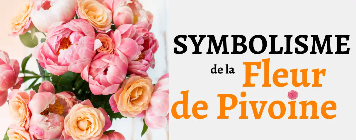 SYMBOLISME de la pivoine