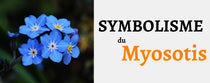 Myosotis fleur signification
