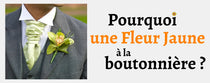 Pourquoi une fleur jaune à la boutonnière ?