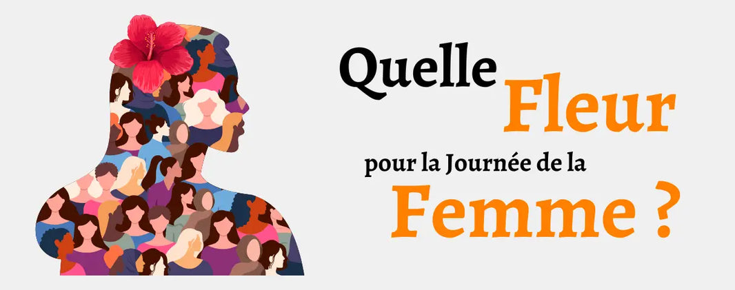 Quelle fleur offrir pour la Journée de la Femme ?