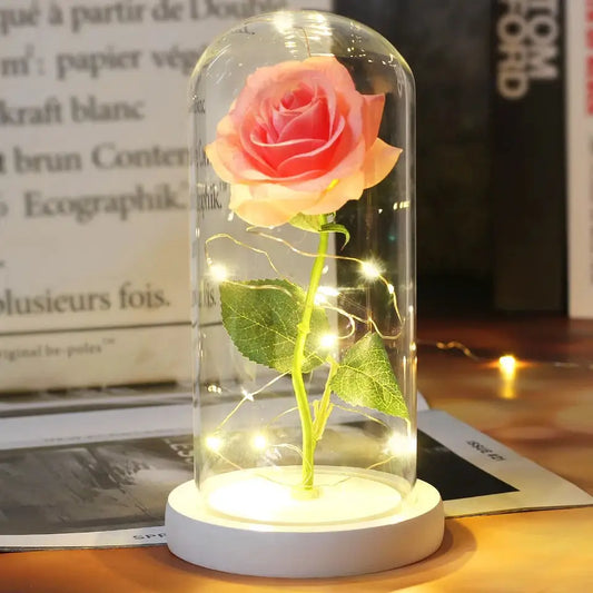 Rose Éternelle Sous Cloche | Dame Fleur